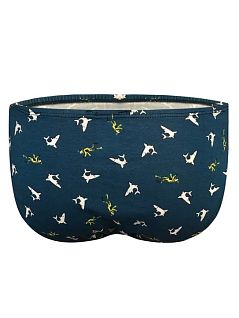 Мужские слипы с морским принтом изумрудного цвета DARKZONE RTDZN6499